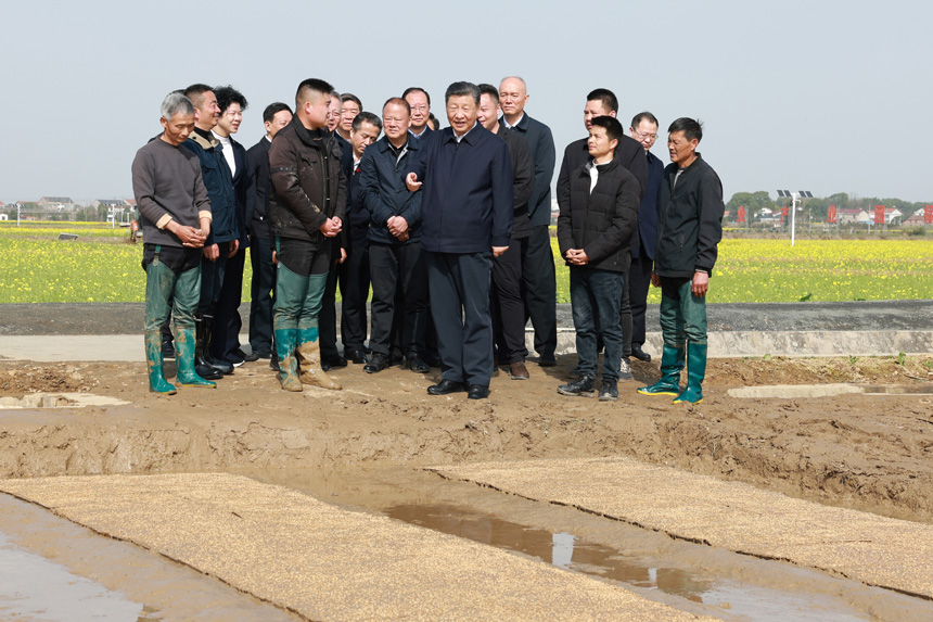 2024年3月18日至21日，中共中央總書(shū)記、國家主席、中央軍委主席習近平在湖南考察。這是19日下午，習近平在常德市鼎城區謝家鋪鎮港中坪村走進(jìn)田間，察看秧苗培育和春耕備耕進(jìn)展。新華社記者 王曄 攝